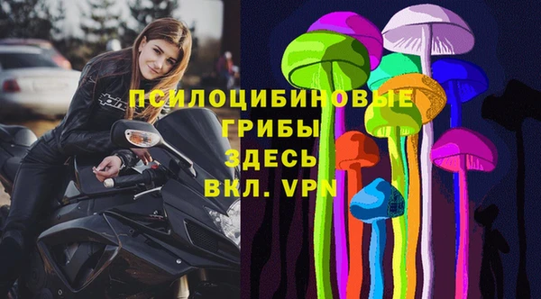 таблы Алзамай