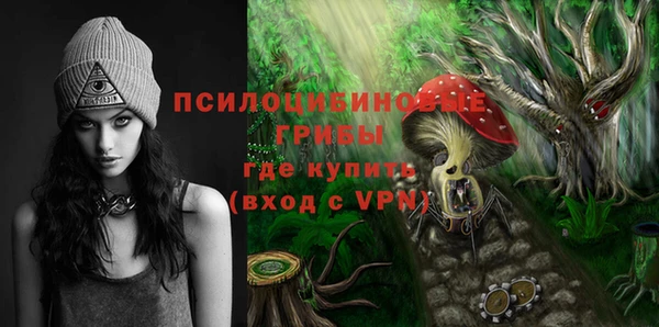 МДМА Арсеньев